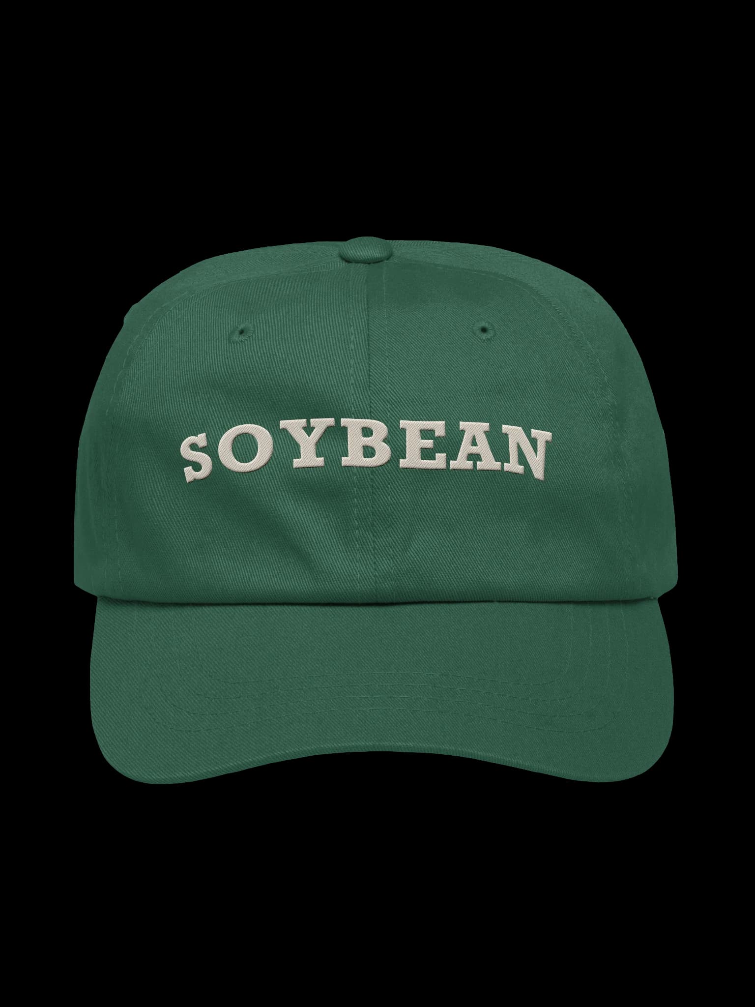 SOYBEAN Dad Hat — view 1